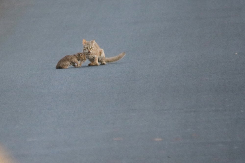 Photograph by bhaskar burman