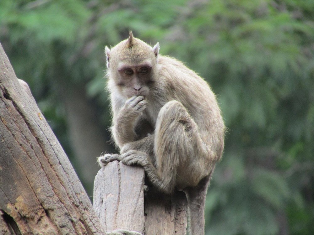 Photograph by Ines Wasi