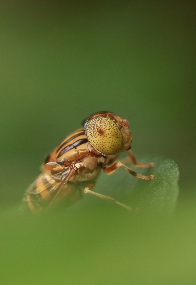 Photograph by bhaskar burman