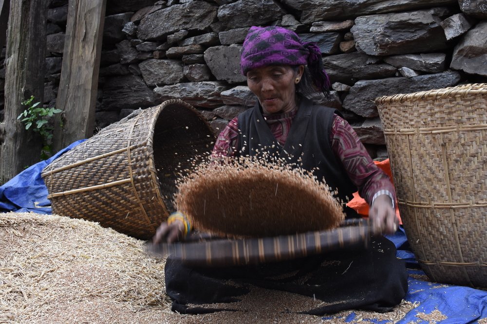 hard life of himalaya