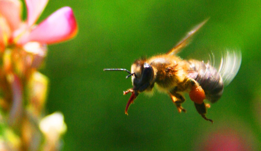 Photograph by Бердибек Султамуратов