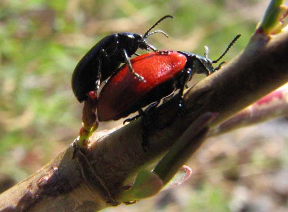 Photograph by Бердибек Султамуратов