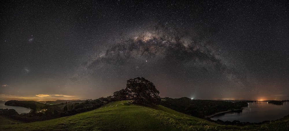 Milky way arch over a lone big tree