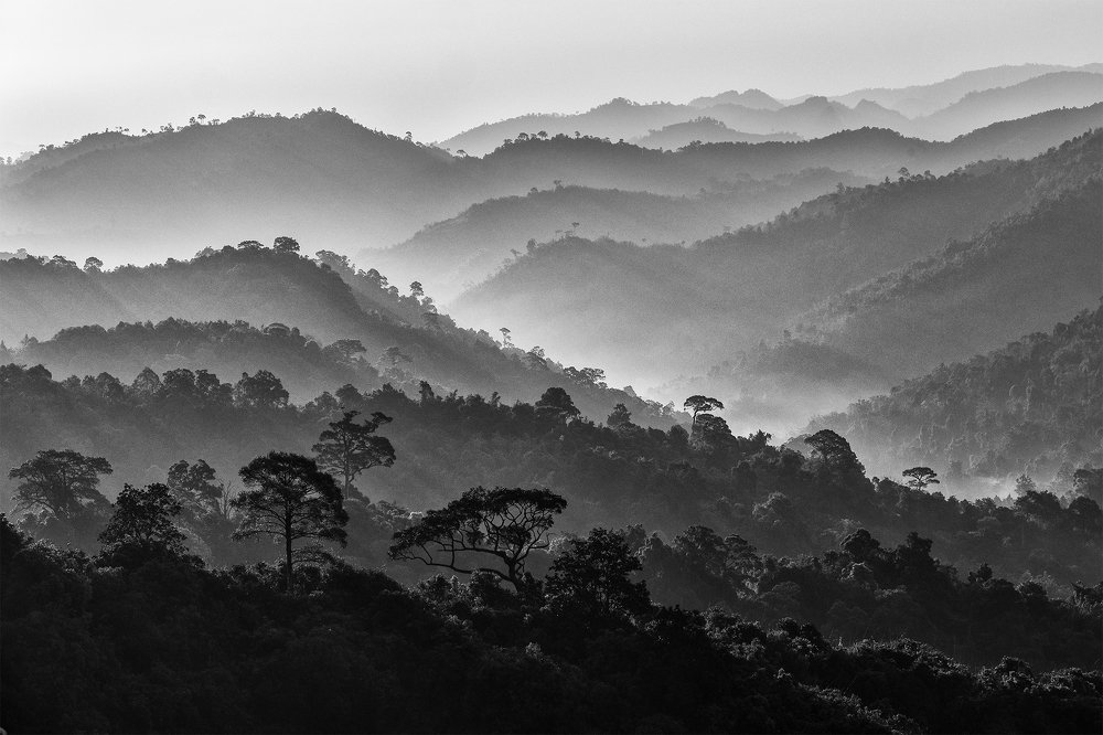 Photograph by Sukrich Nutchanatcharoensuk