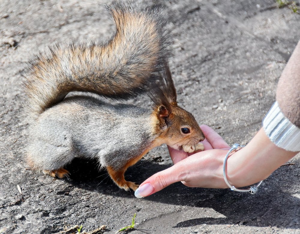 Весна пришла