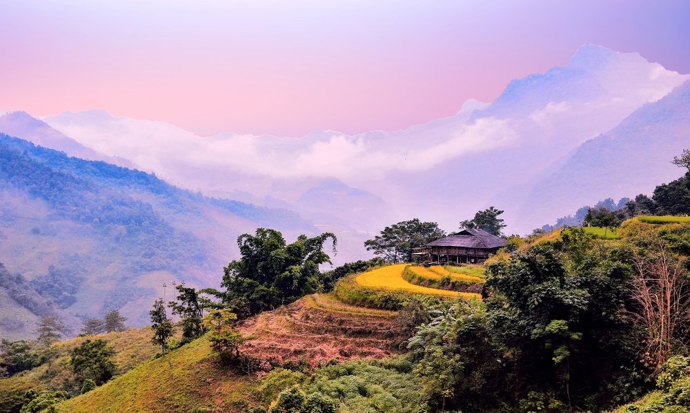 Lonely House on Rice Padding Field