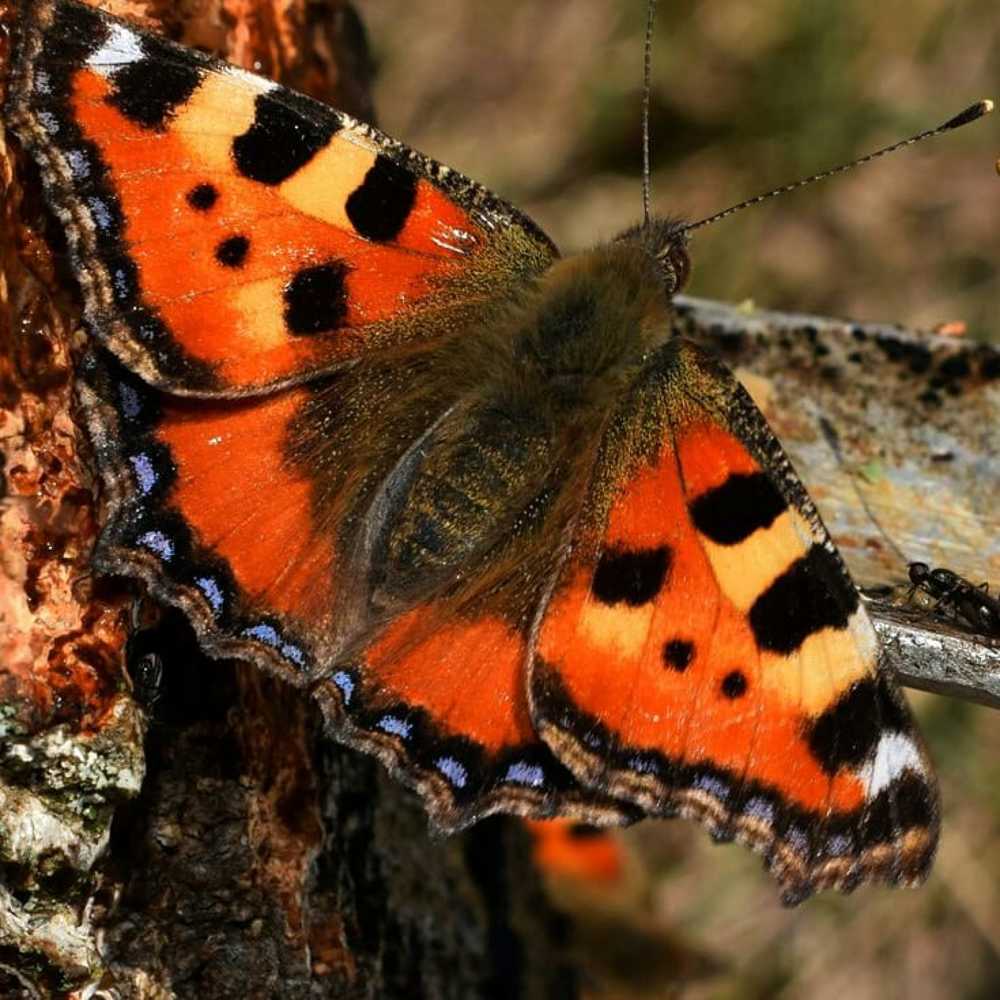 Photograph by Михалевич Машка