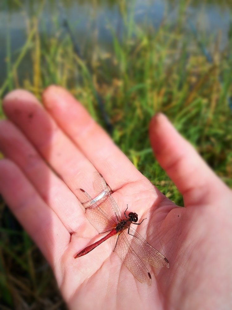 Photograph by Михалевич Машка