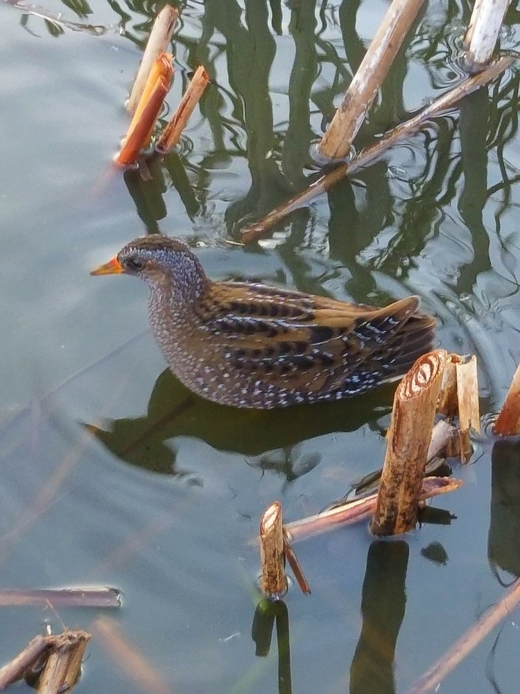 Photograph by Михалевич Машка