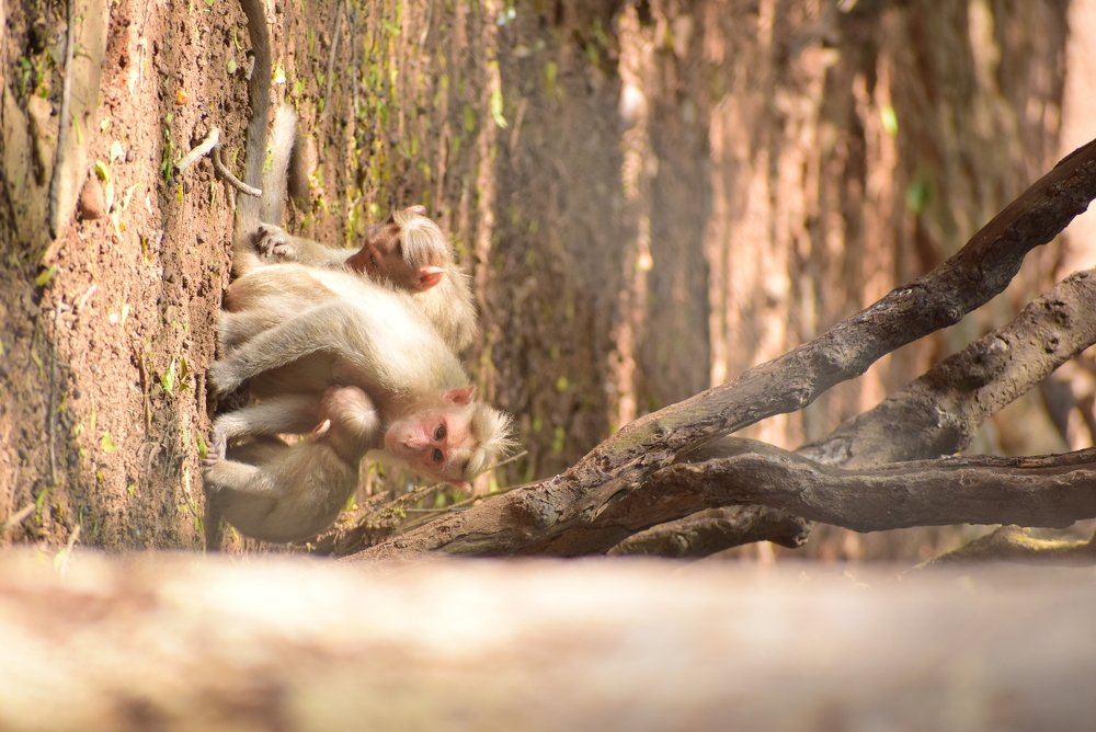 Photograph by Sai kumar Bheemanaboina