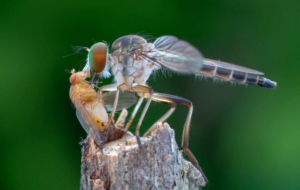 Photograph by Chuah Christopher