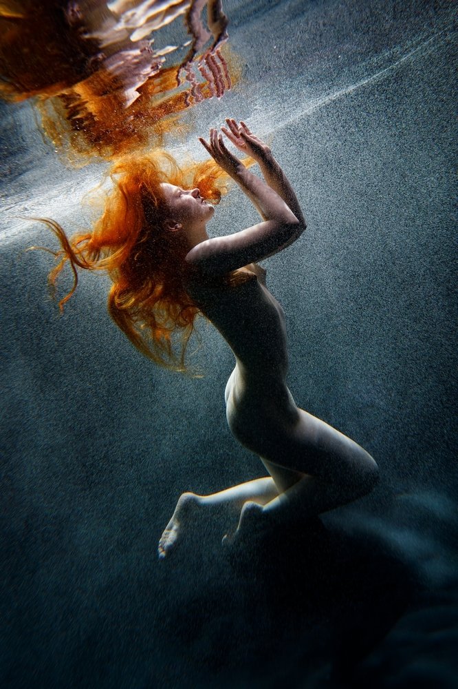 Фотография автора Томашевич Сергей