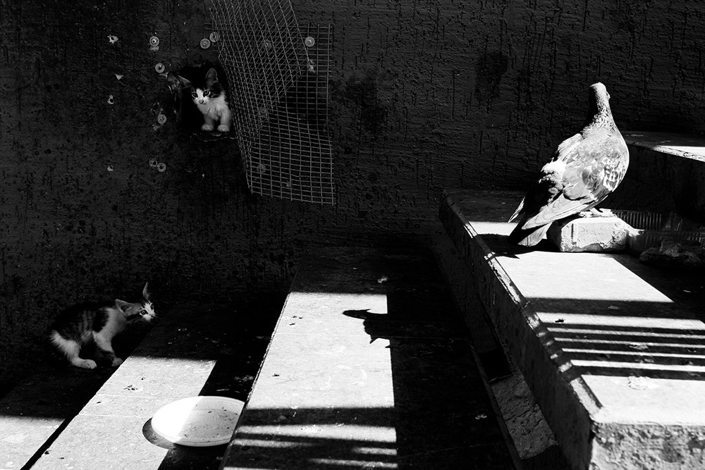 Photograph by Faletkin Mikhail