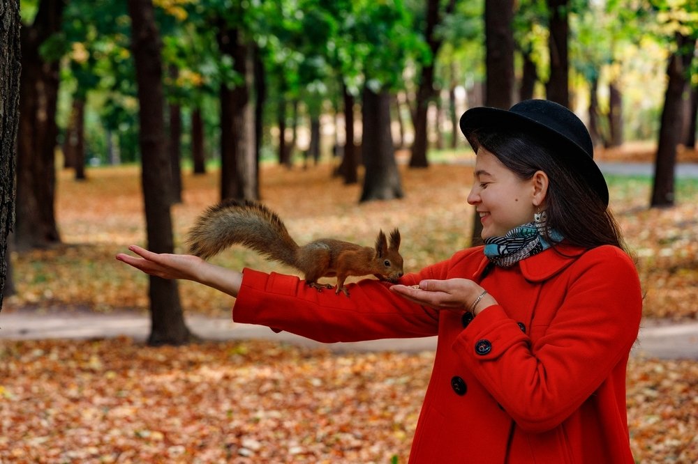 Фотография автора Томашевич Сергей