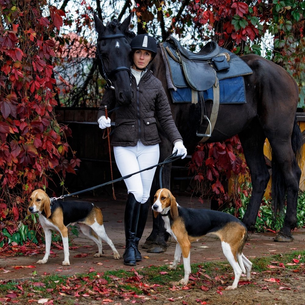 Фотография автора Томашевич Сергей