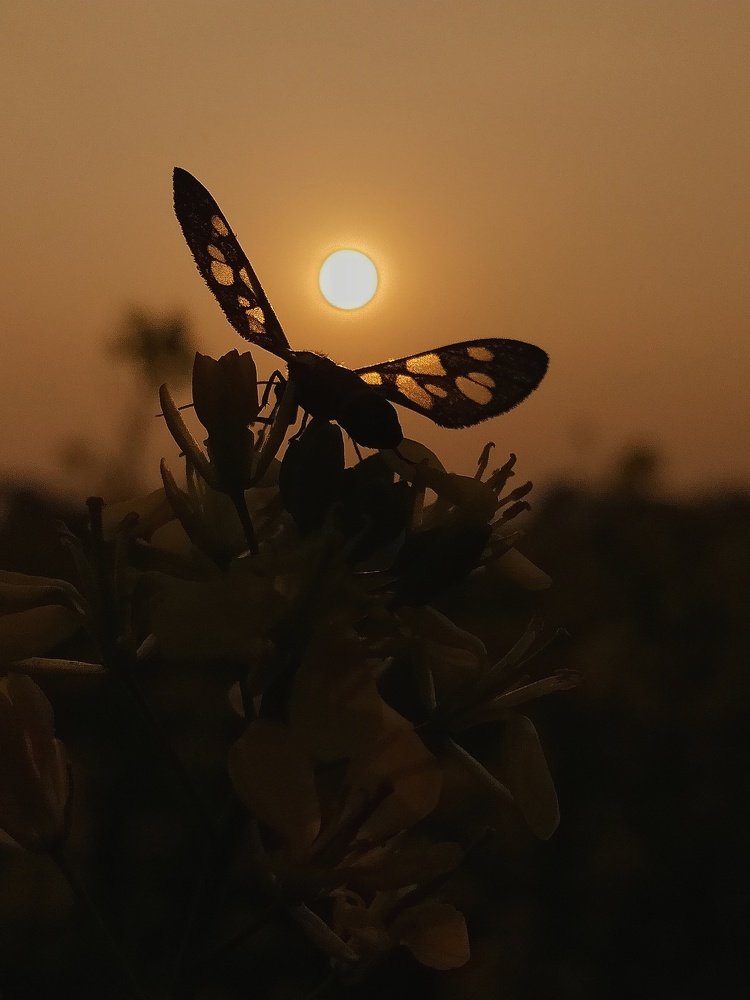 Photograph by Rahul Dey
