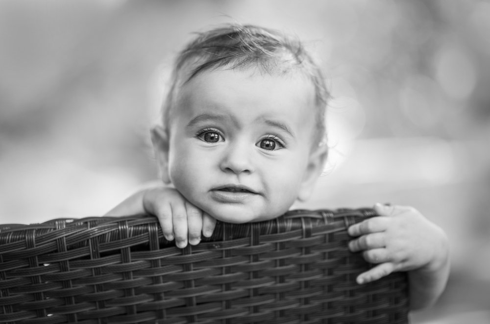 Photograph by Жанна Овчинникова