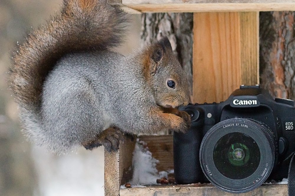 Внимание, снимаю!