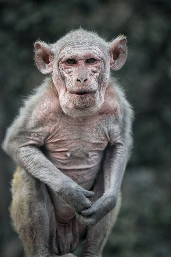 Photograph by Shreevardhan Sharma