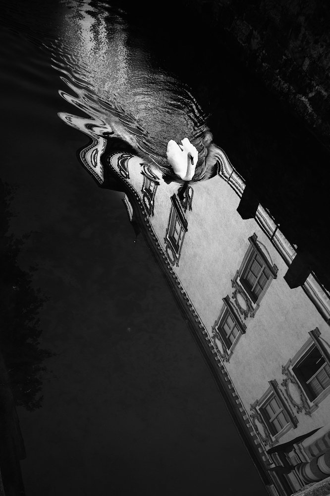 Графика лебединого заплыва