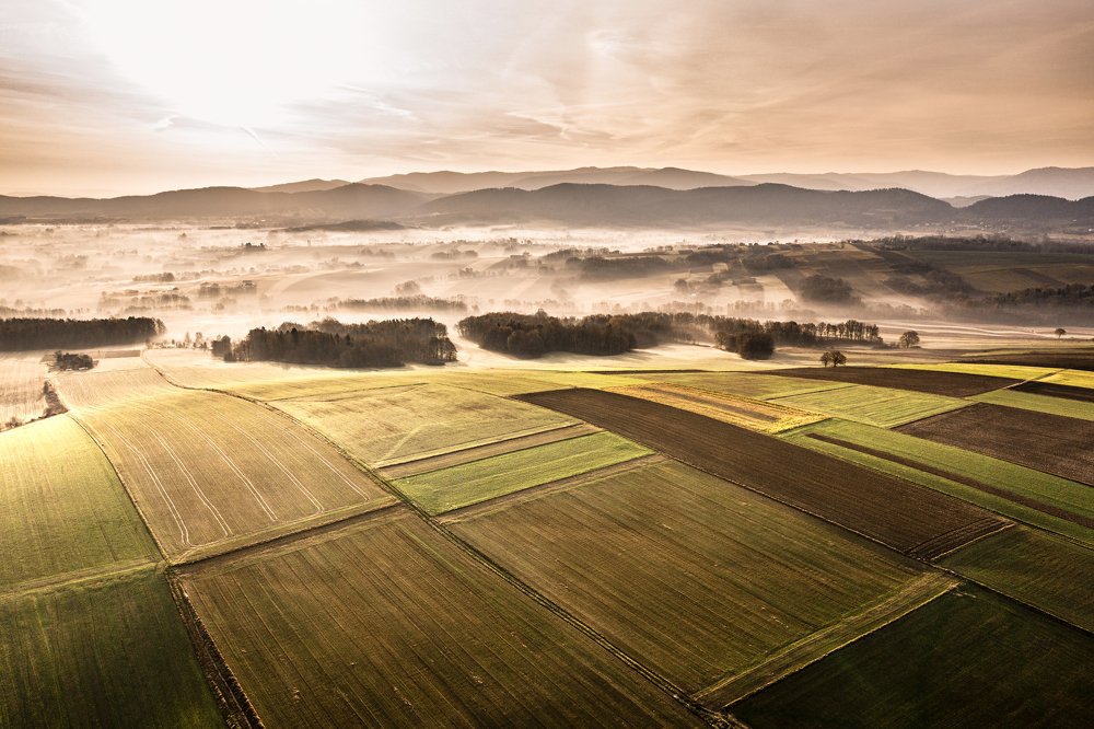 Photograph by Andrzej Pala