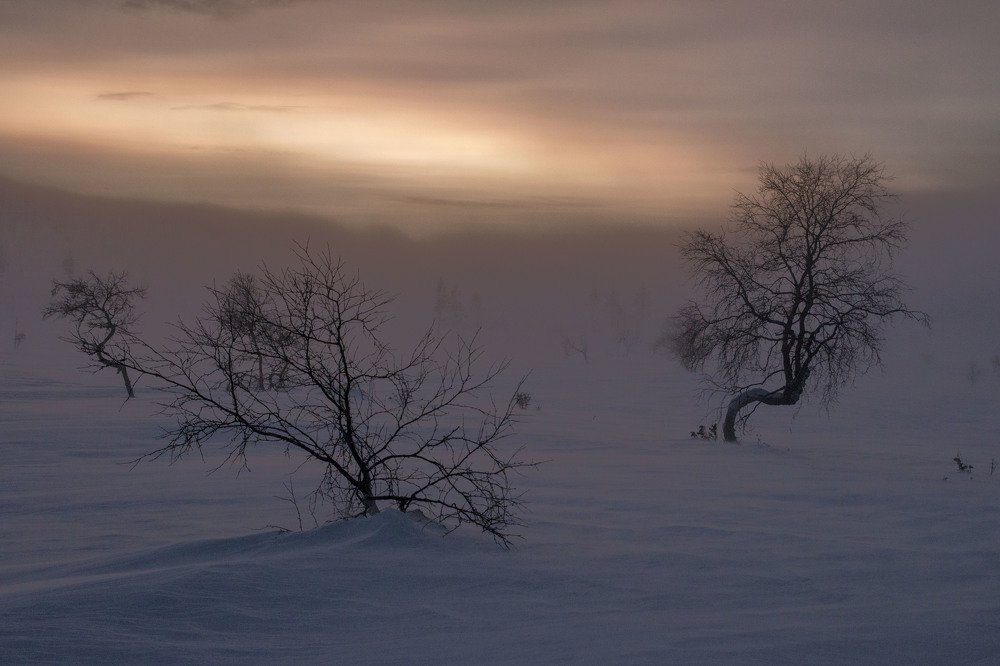 Полярная ночь