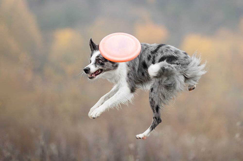 Photograph by Светлана Писарева