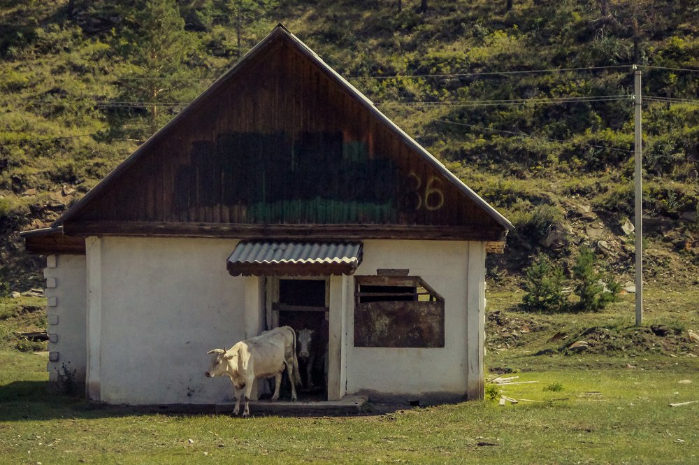 Photograph by Виктор Сёмушкин