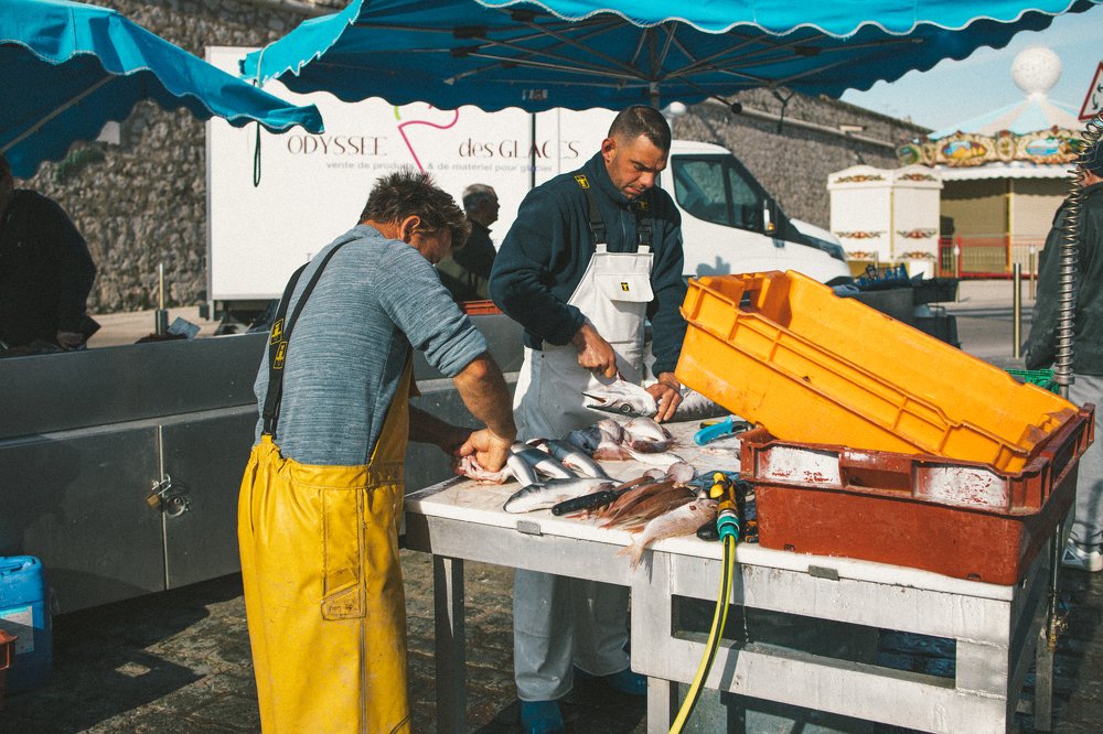 Фотография автора Olga Alekseeva