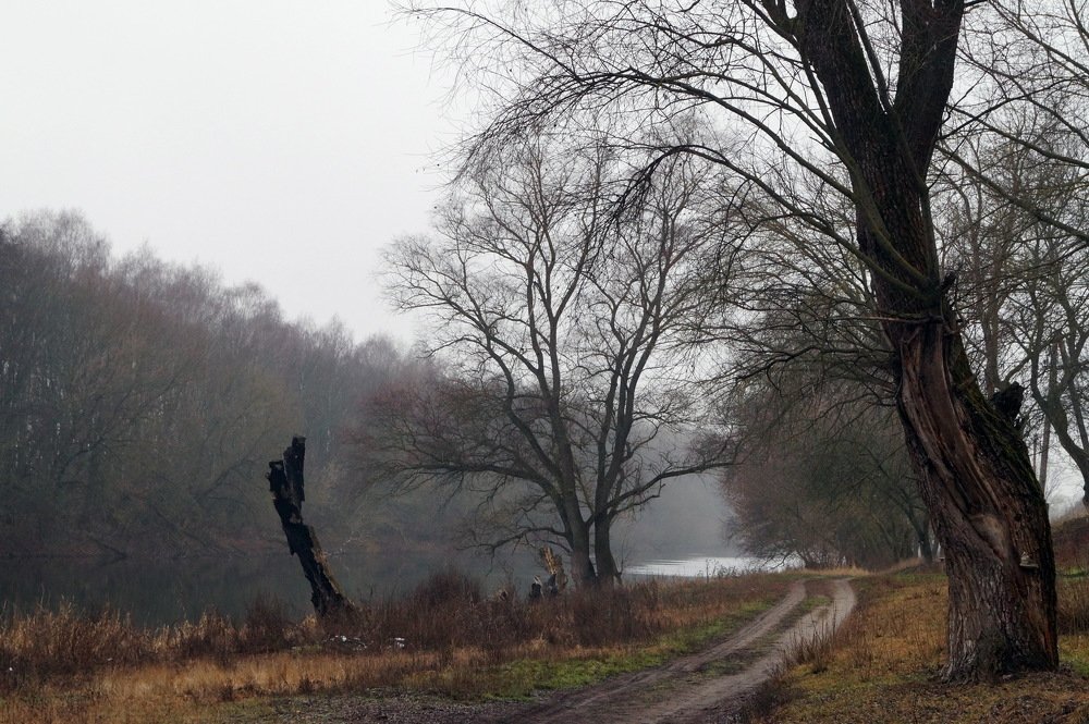 Photograph by Андрей Бабаев