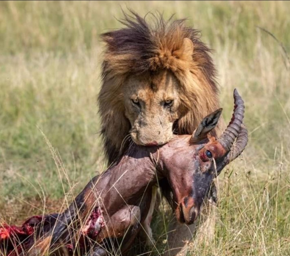 Photograph by john maina
