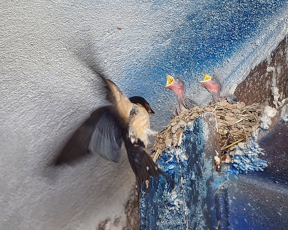 Photograph by Edris Khosravizadeh