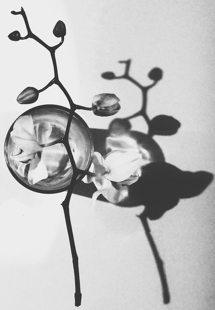 Photograph by Umroyan Naira