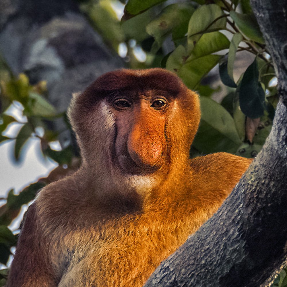 Photograph by Александр Романов