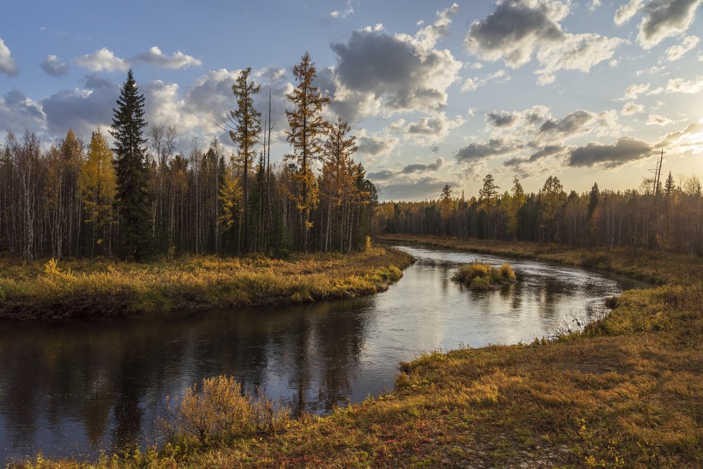 Тайга в сентябре