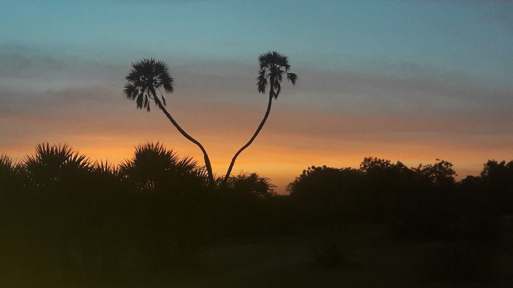 Photo #4170663