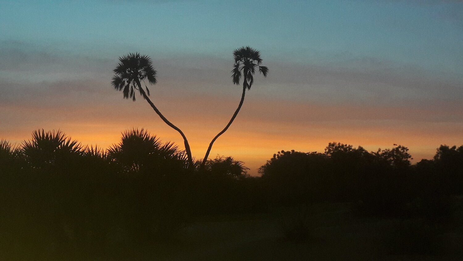 Photo #4170663