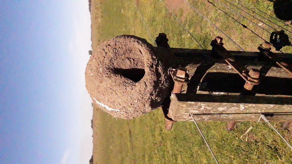 Photo #4170665