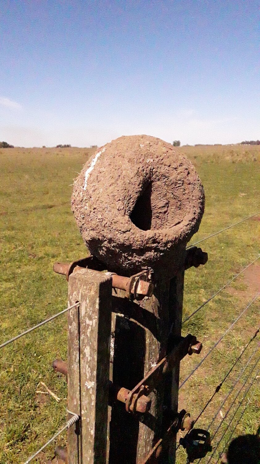 Photo #4170665