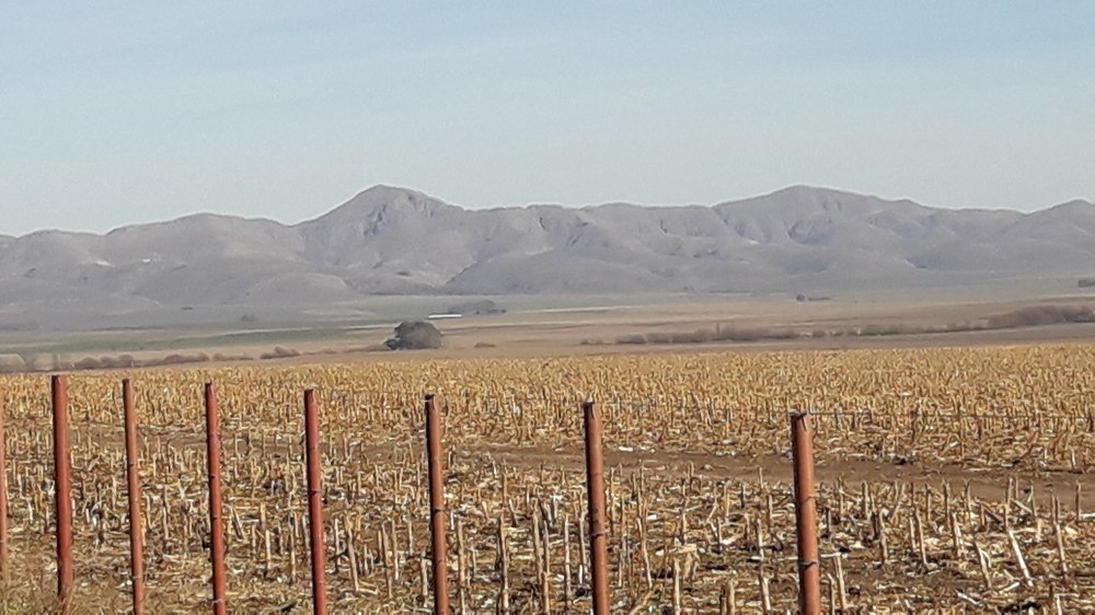 Photo #4170672