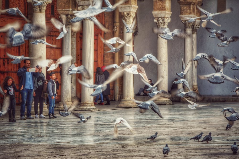 Photograph by Krabaa Mohamed Anis