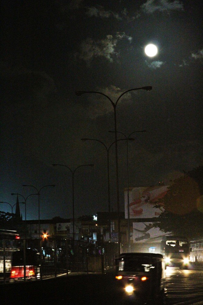 Photograph by Shreeharan Rajasingham