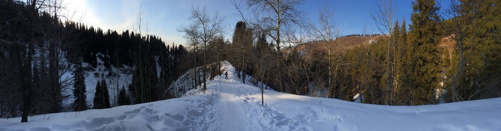 Возвращение домой.