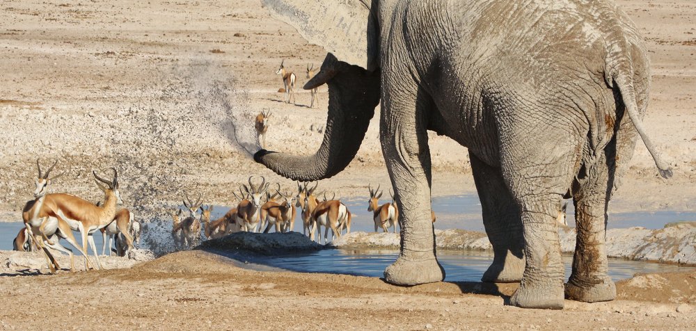 Photograph by Helen McLain