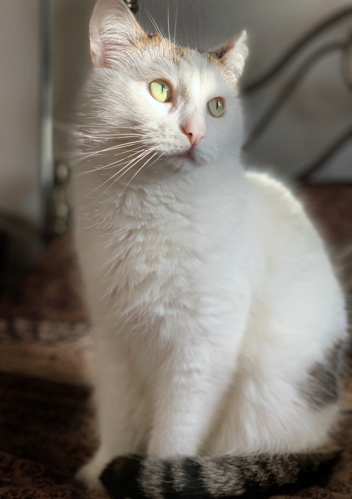 Photograph by Марина Моисеева