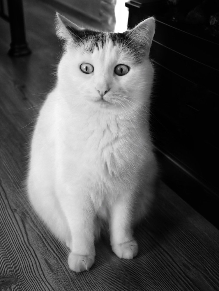 Photograph by Марина Моисеева