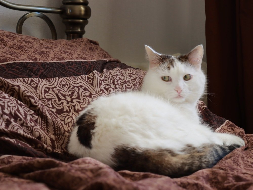 Photograph by Марина Моисеева