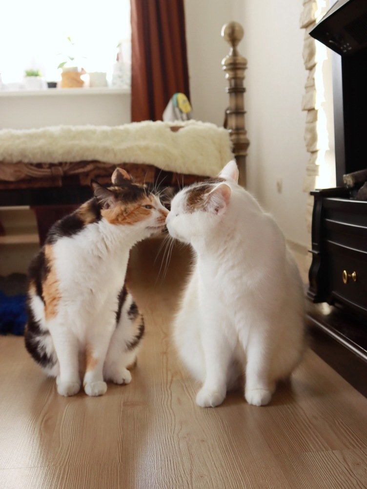 Photograph by Марина Моисеева