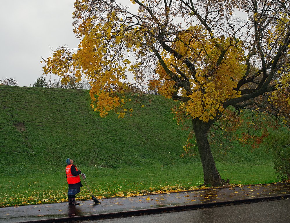 Метлою осень не прогнать...