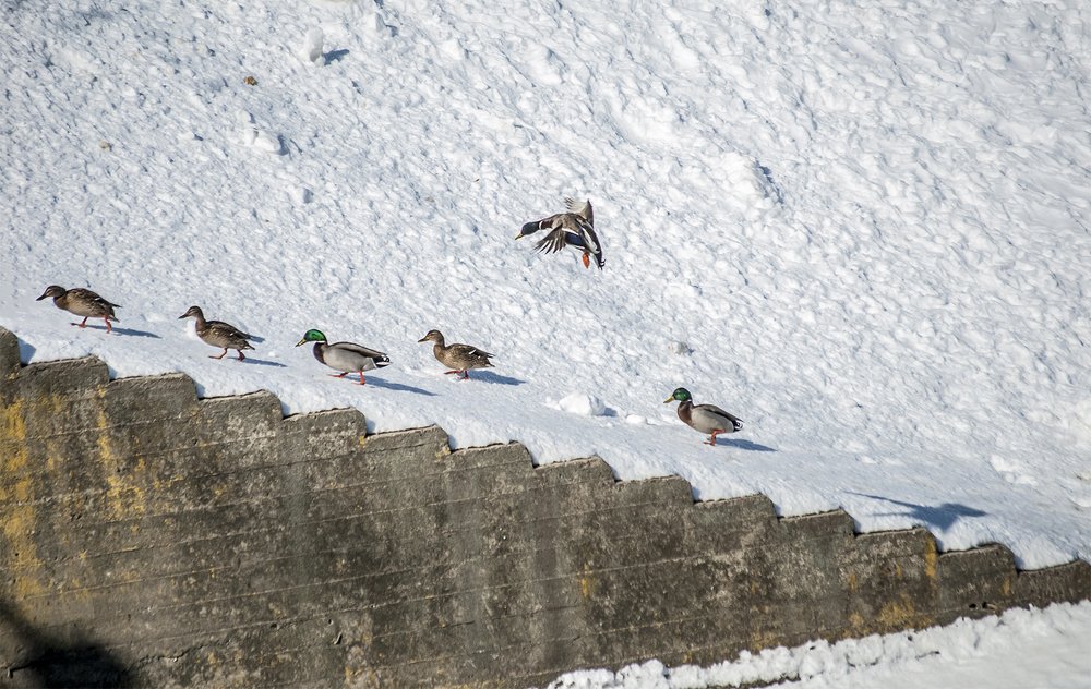Фотография автора Валентин Амфитеатров